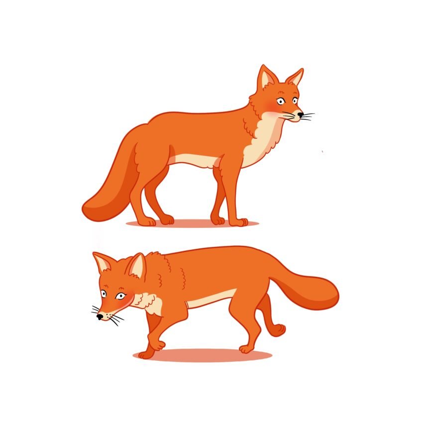 illustrations de renards pour un manuel scolaire | Valentine CHOQUET, illustratrice freelance