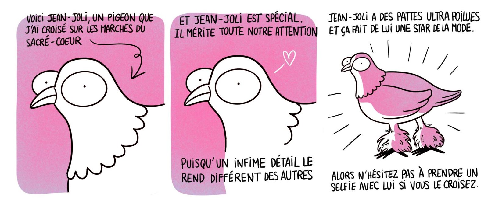 Illustration du pigeon Jean-Joli | Valentine CHOQUET illustrations