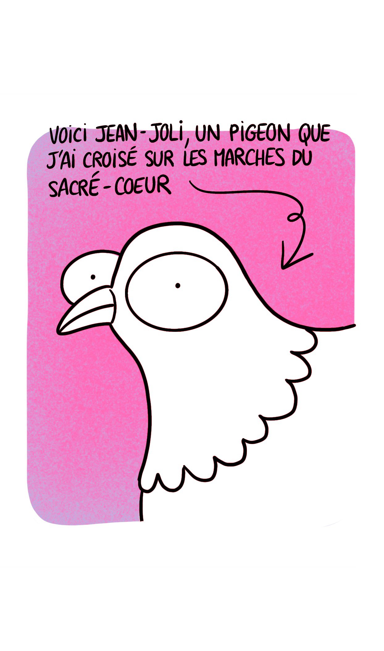 Jean-Joli le pigeon